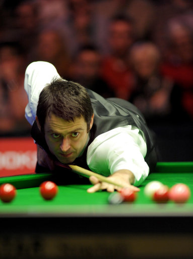 供了最鲜活 供了最鲜活