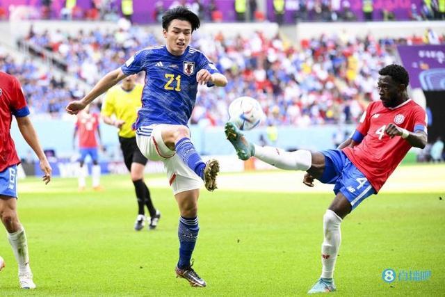 的对位也更 的对位也更